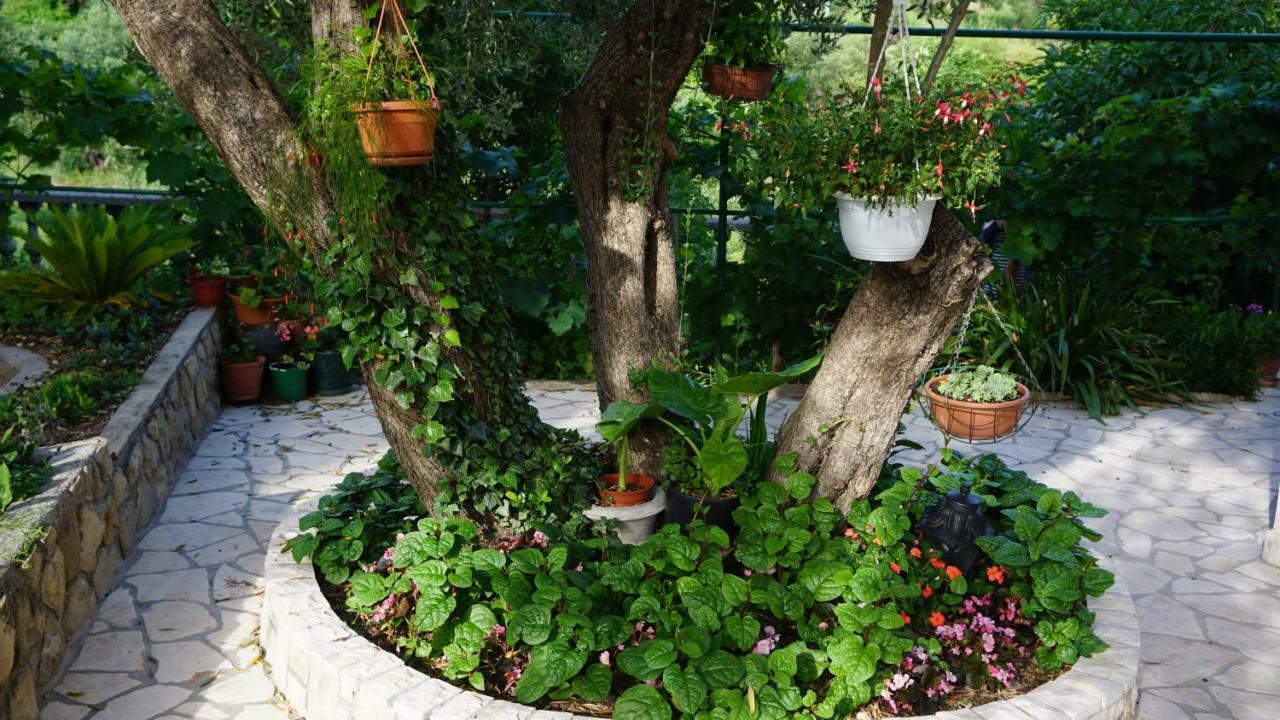 Apartmani Tatjana راب المظهر الخارجي الصورة